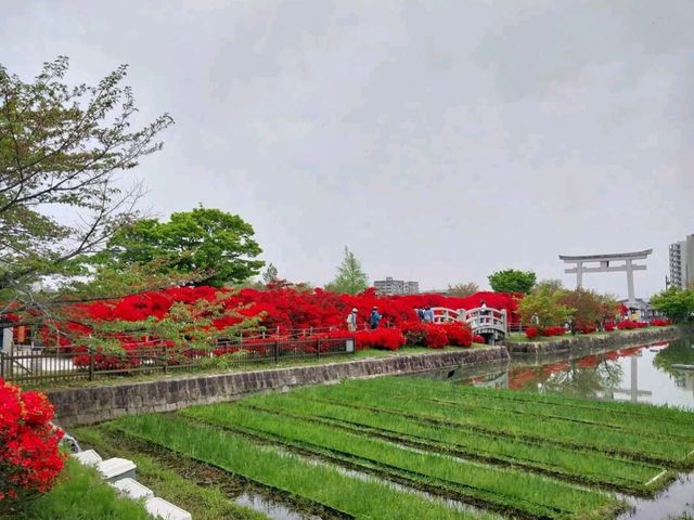 Nagaoka Tenmangu
