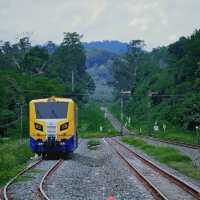 สะพานกลับหัว《ตำนานกลับหัวหนีระเบิด》