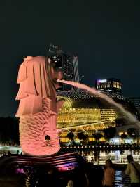 🇸🇬Shiok Sight Seeing in Singapore! Must-Visit Free Attractions 💫💫