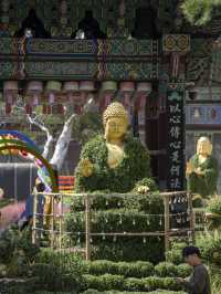 Extremely Instagramable Buddhist Temple in Downtown of Seoul 