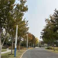สวนสวยเมืองเจิ้งโจว 郑州园博园 