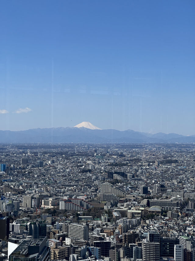 東京Shibuya sky 出片攻略