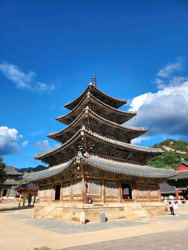 💛산책과 함께 가을여행하기 좋은, "충북 보은 법주사"💛