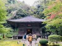 松島　円通院