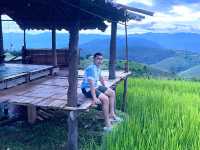 นาขั้นบันไดป่าบงเปียง เชียงใหม่🌾🌿