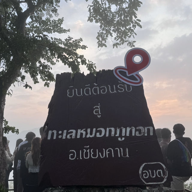 🏜️ชมพระอาทิตย์ขึ้น และทะเลหมอก ภูทอก