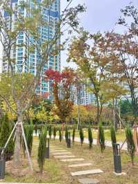 기분전환할 수 있는 자연명소 청라호수공원🤍🌳