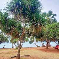 ทะเลสวย หาดเตยงาม 