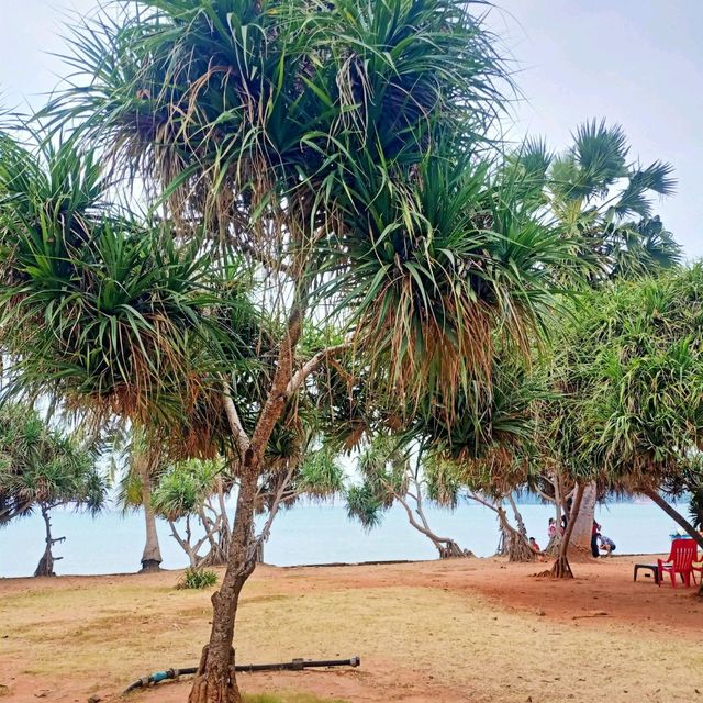 ทะเลสวย หาดเตยงาม 