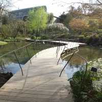 【高知】某朝ドラに関係する植物園