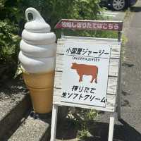 【熊本】ジャージ牛乳を使ったアイス屋さん！
