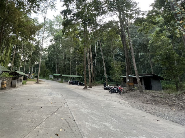 แช่ออนเซ็นเมืองไทย ที่น้ำพุร้อนไทรงาม