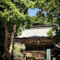 櫻井神社，百年歷史