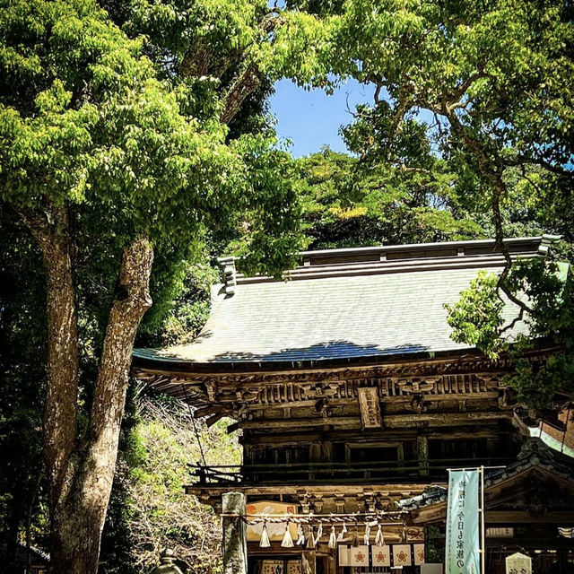 櫻井神社，百年歷史