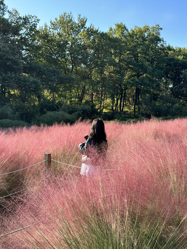 가을 데이트 코스로 딱인 의왕 왕송호수 💗