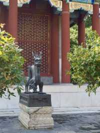 A Morning at Beijing’s Summer Palace: Gardens, Temples and Timeless Charm