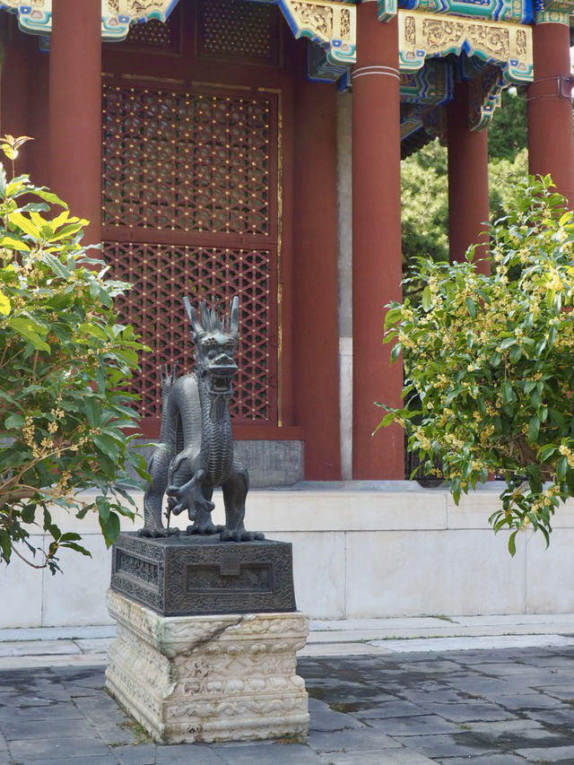 A Morning at Beijing’s Summer Palace: Gardens, Temples and Timeless Charm