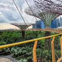 Free Architectural Trail?