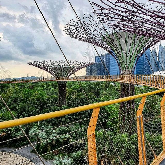 Free Architectural Trail?