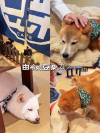 九州｜由布院童話小鎭半日游