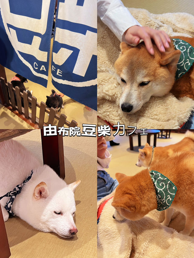 九州｜由布院童話小鎭半日游