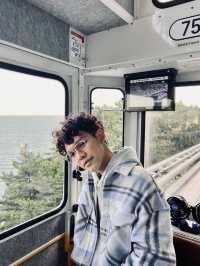 Blue Line Park รถไฟปุ๊กปิ๊กสุดน่ารัก 🚊🇰🇷