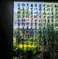 Vibrant Serenity at Wu Hou Shrine in October