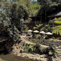 A Hidden Gem in Bali: Nukad Tampaksiring