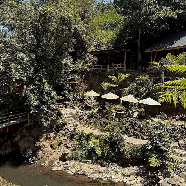 A Hidden Gem in Bali: Nukad Tampaksiring
