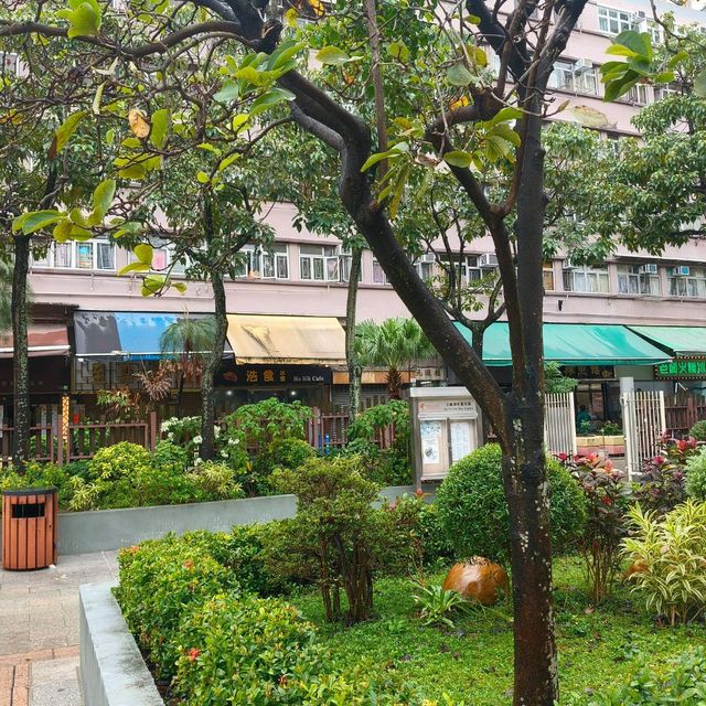 這一年讓香港從我的旅遊地，變像是生活的城市