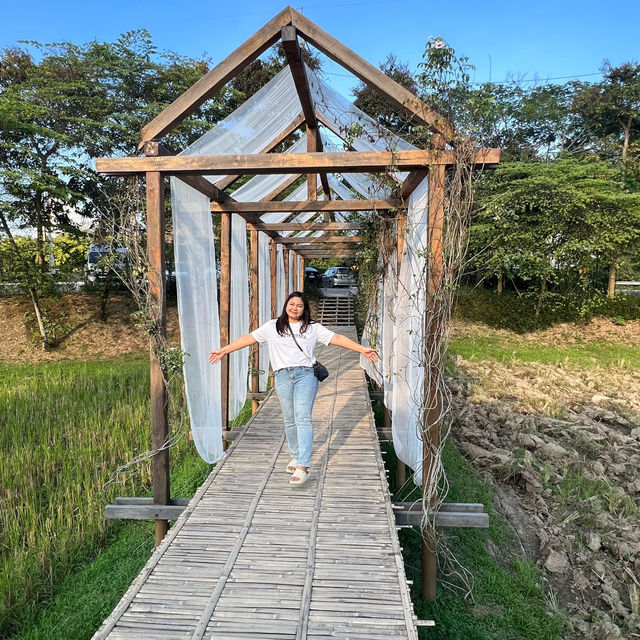 บ้านนาก๋างโต้ง Baan Na Kang Tong Cafe & Homestay