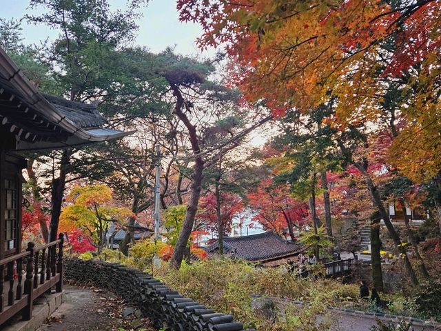 The magnificient autumn foliage at Gilsangsa