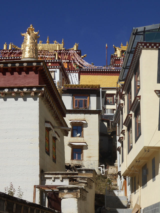 Get lost in the maze of this Tibetan Buddhist monastery