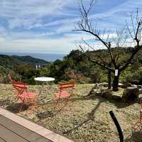 【兵庫・淡路島】最高オリーブオイルと淡路島の美しい自然「Olive GLAMP淡路島Virgin Valley」