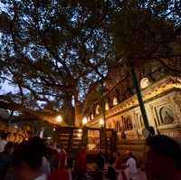 6 Days in Gaya