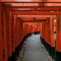 🇯🇵京都「伏見稻荷大社」輕鬆拍出無路人大片！給各位一個早起的理由！