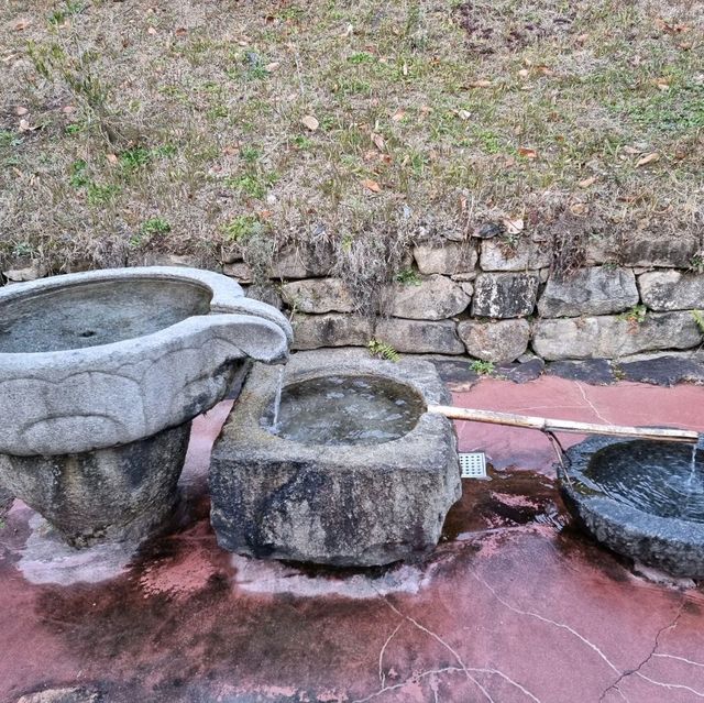 산사도 둘러보고 향긋한 야생차도 마셔보세요.
