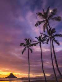 Why You Need to Book a Trip to Hawaii ASAP