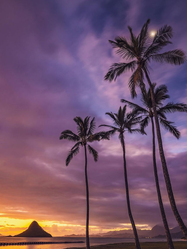 Why You Need to Book a Trip to Hawaii ASAP