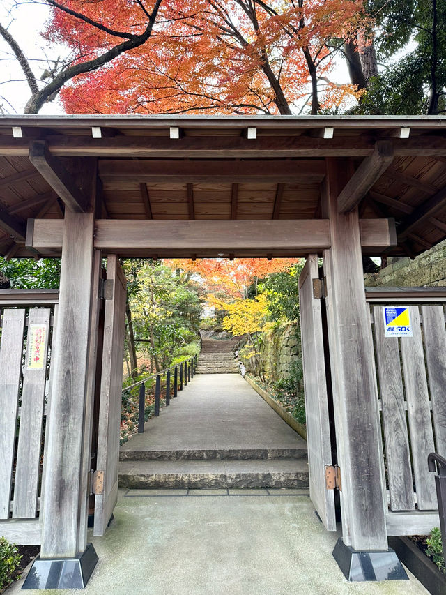 【栃木　宇都宮二荒山神社】