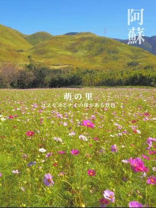 阿蘇的私房景點！還能見到航海王的娜美？！俵山交流館 萌之里