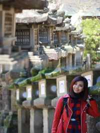 Spring Serenity at Kasuga Taisha: Where History Meets Nature