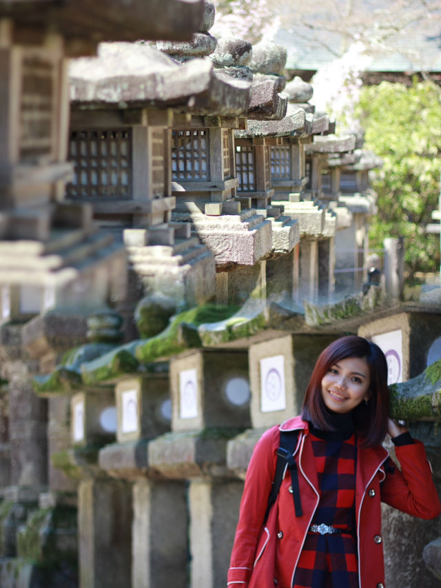 Spring Serenity at Kasuga Taisha: Where History Meets Nature