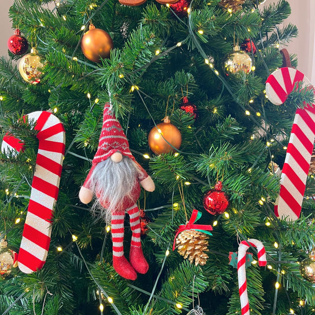 คาเฟ่เปิดใหม่นนทบุรี ธีมคริสต์มาสน่ารักมาก 🎄