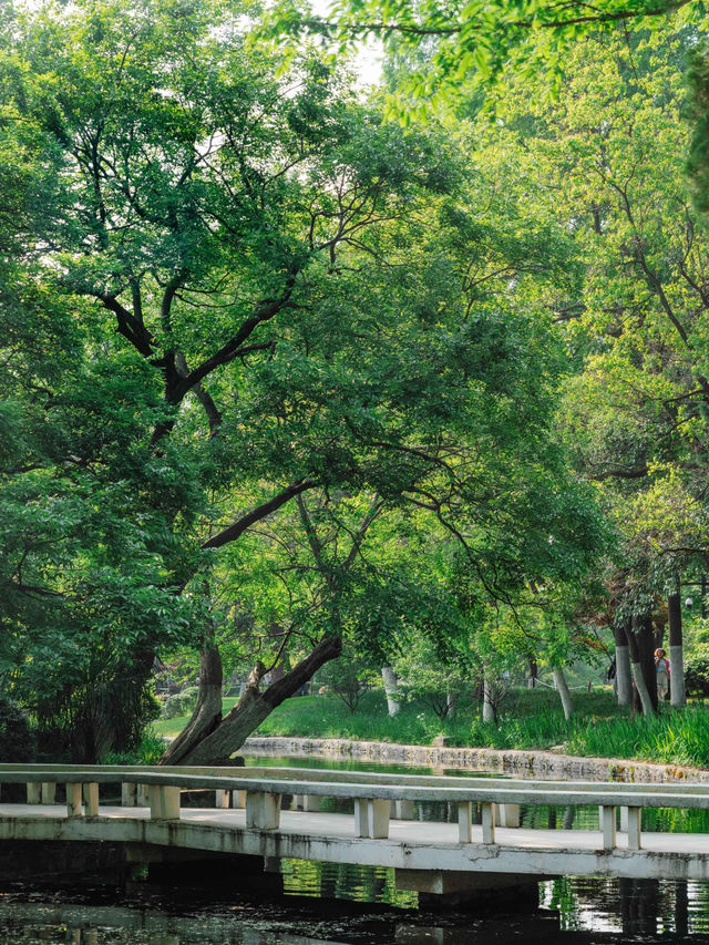 Xiaoyaojin Park: A Historic Oasis in Hefei