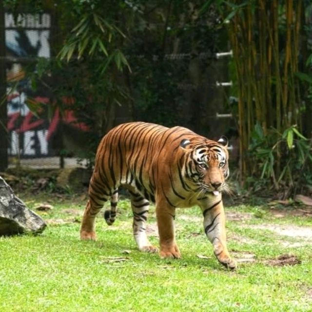 Enjoy This moment at Tambun Lost World