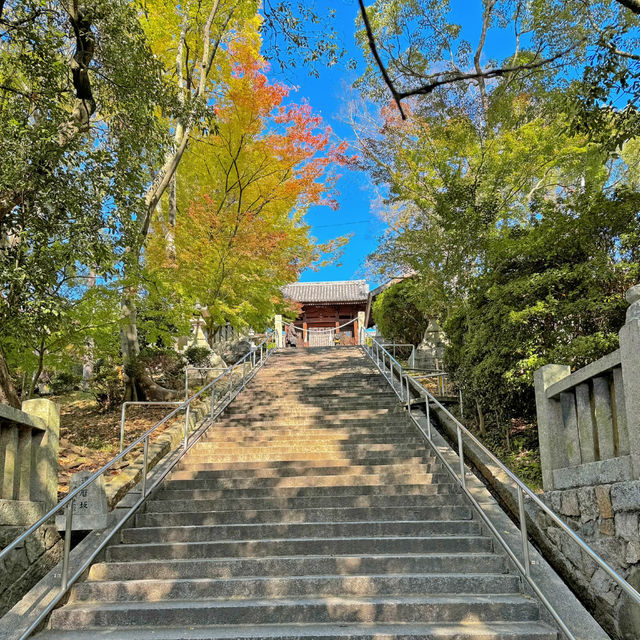 เที่ยวเมืองเก่า Kurashiki 🍁