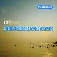 深圳灣公園｜12月深圳的浪漫是日落和海鷗給的
