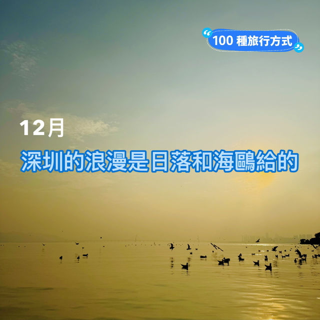 深圳灣公園｜12月深圳的浪漫是日落和海鷗給的