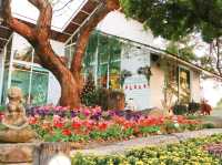 คาเฟ่สวนดอกไม้ Cakery 